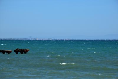 Прикрепленное изображение: 145.JPG